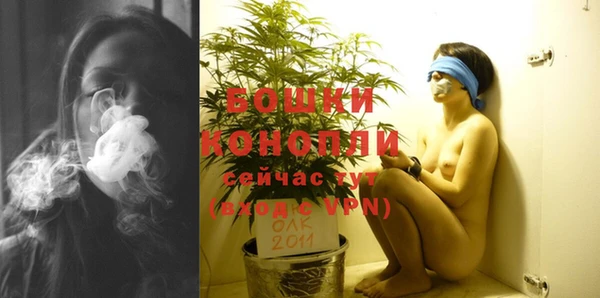 МДПВ Лиски