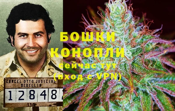 МДПВ Лиски