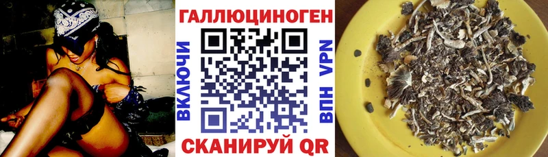 Купить где  Мелеуз  Галлюциногенные грибы прущие грибы 